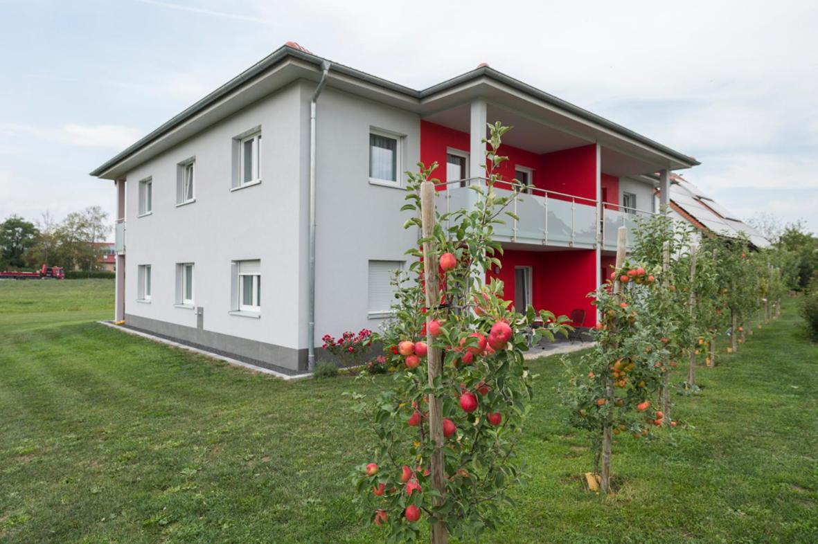 Hofmann'S Apartements & Ferienwohnungen 奥博达策斯特滕 外观 照片