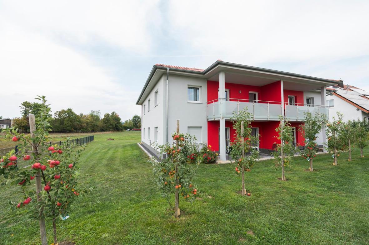 Hofmann'S Apartements & Ferienwohnungen 奥博达策斯特滕 外观 照片